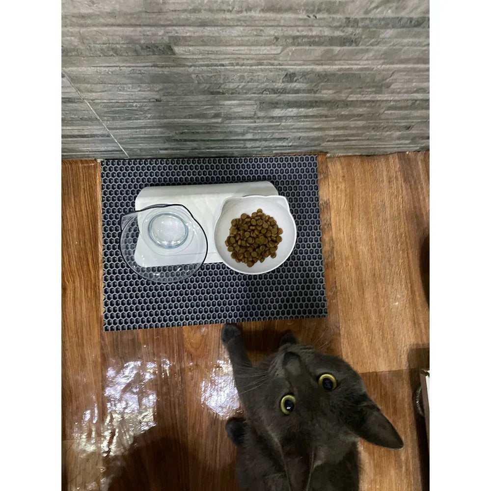Ergonomic Double Pet Bowl Set โ Non-Slip, Raised Stand for Dogs & Cats