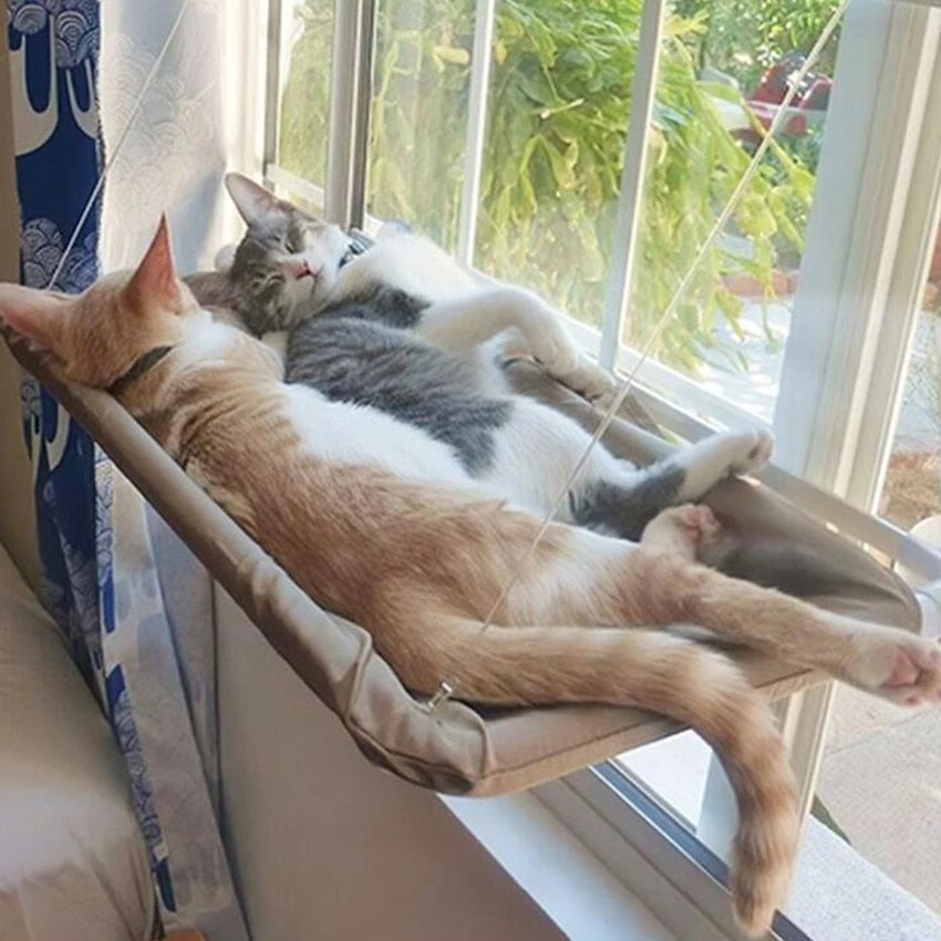 Hammock Bed for Cats